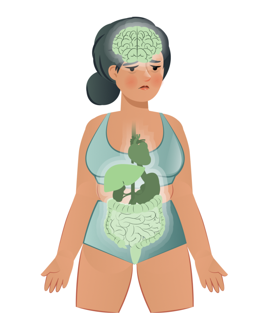 Illustration einer Frau mit sichtbaren Organen wie Gehirn, Herz, Leber und Darm – Darstellung der körperlichen Auswirkungen von Nährstoffmangel und innerem Ungleichgewicht.