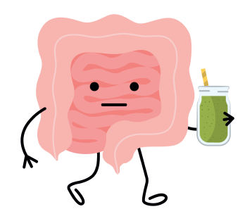 Eine Darmkur führt zu einem gesünderen Darm