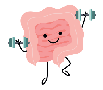 Der Darm ist immer in Bewegung