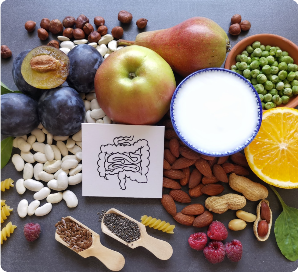 Die Darmkur bei Ackermann Gesundheit beginnt mit einer ausführlichen Analyse